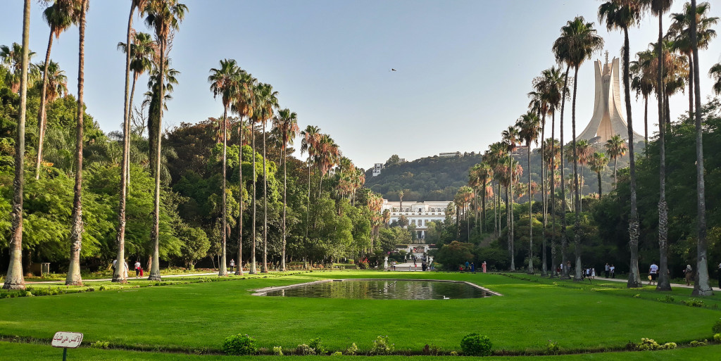 Flüge von Frankfurt nach Algier günstig buchen | idealo