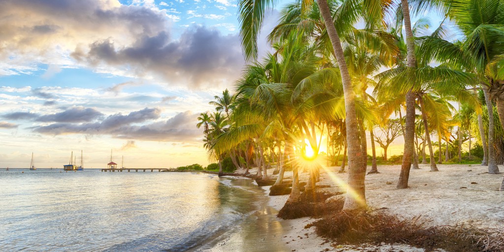 VOL PAS CHER PARIS POINTE PITRE PAR visual data 6