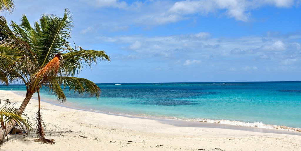 Vuelo Punta Cana San Juan Puerto Rico Buscar Ofertas De Vuelos Baratos