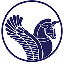 Iran Air Tours