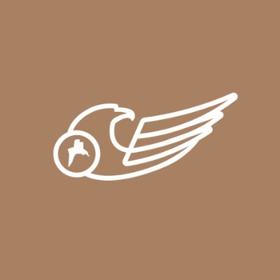 Basra Airlines